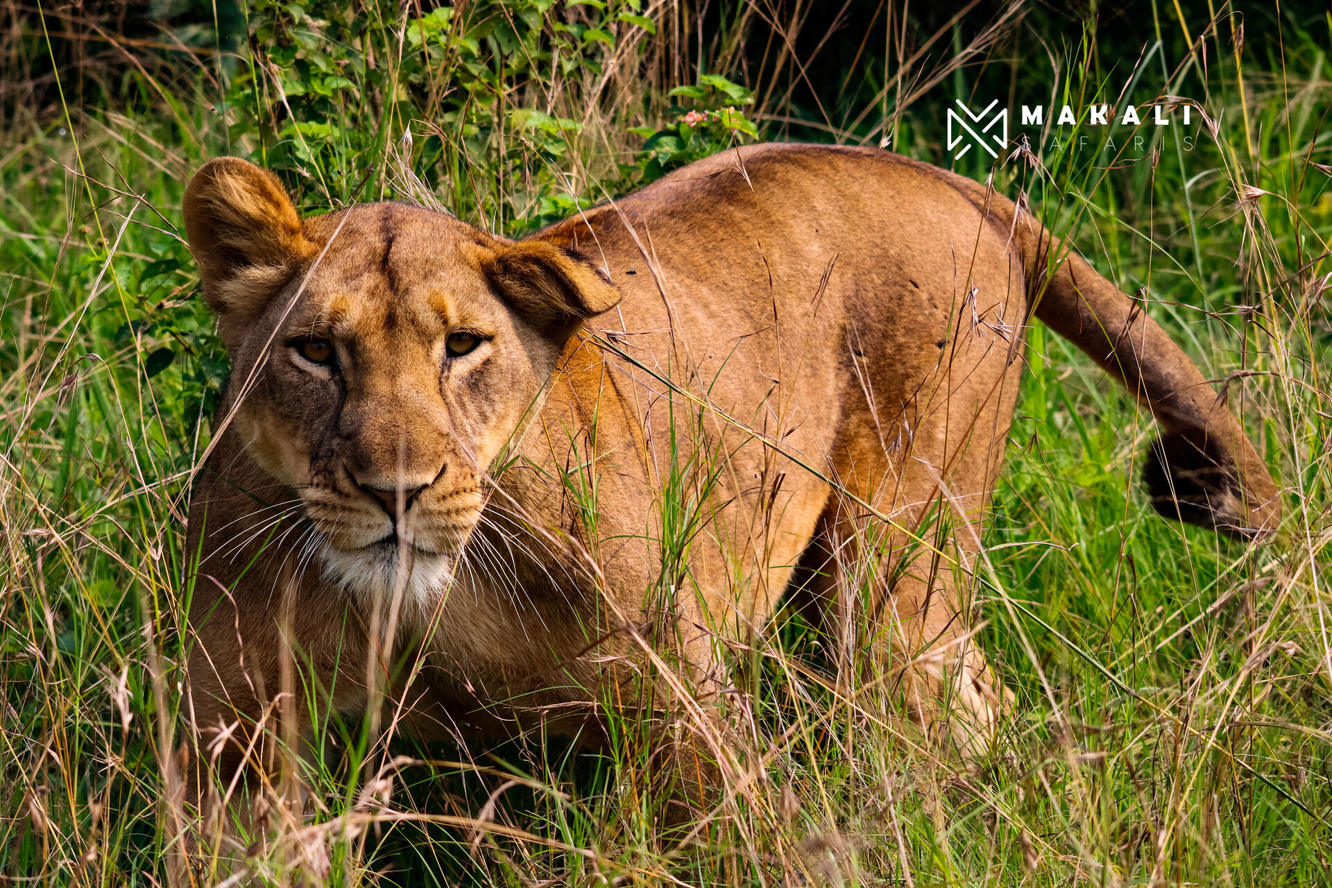 Queen Elizabeth National Park
