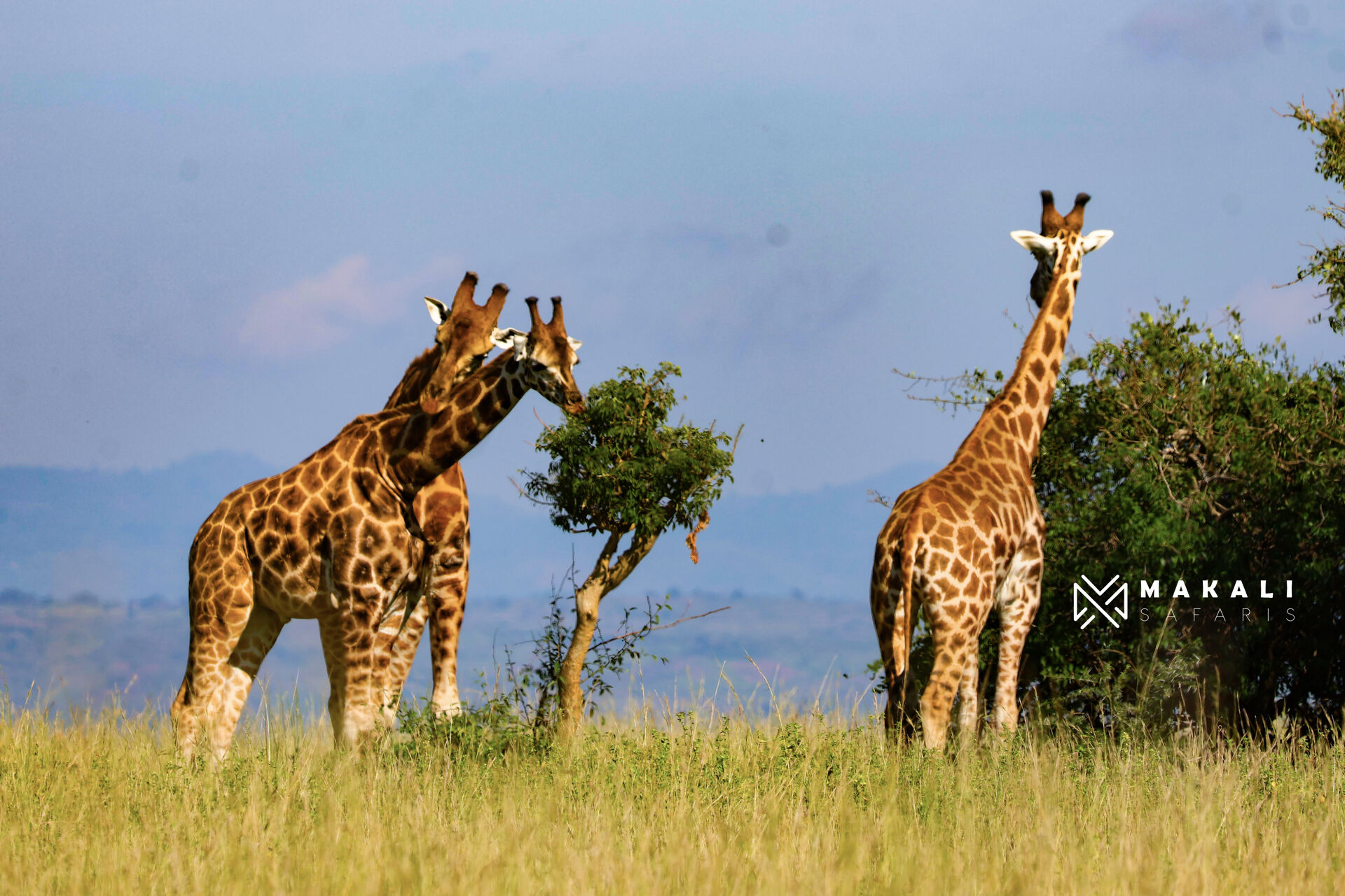 East Africa Destinations
