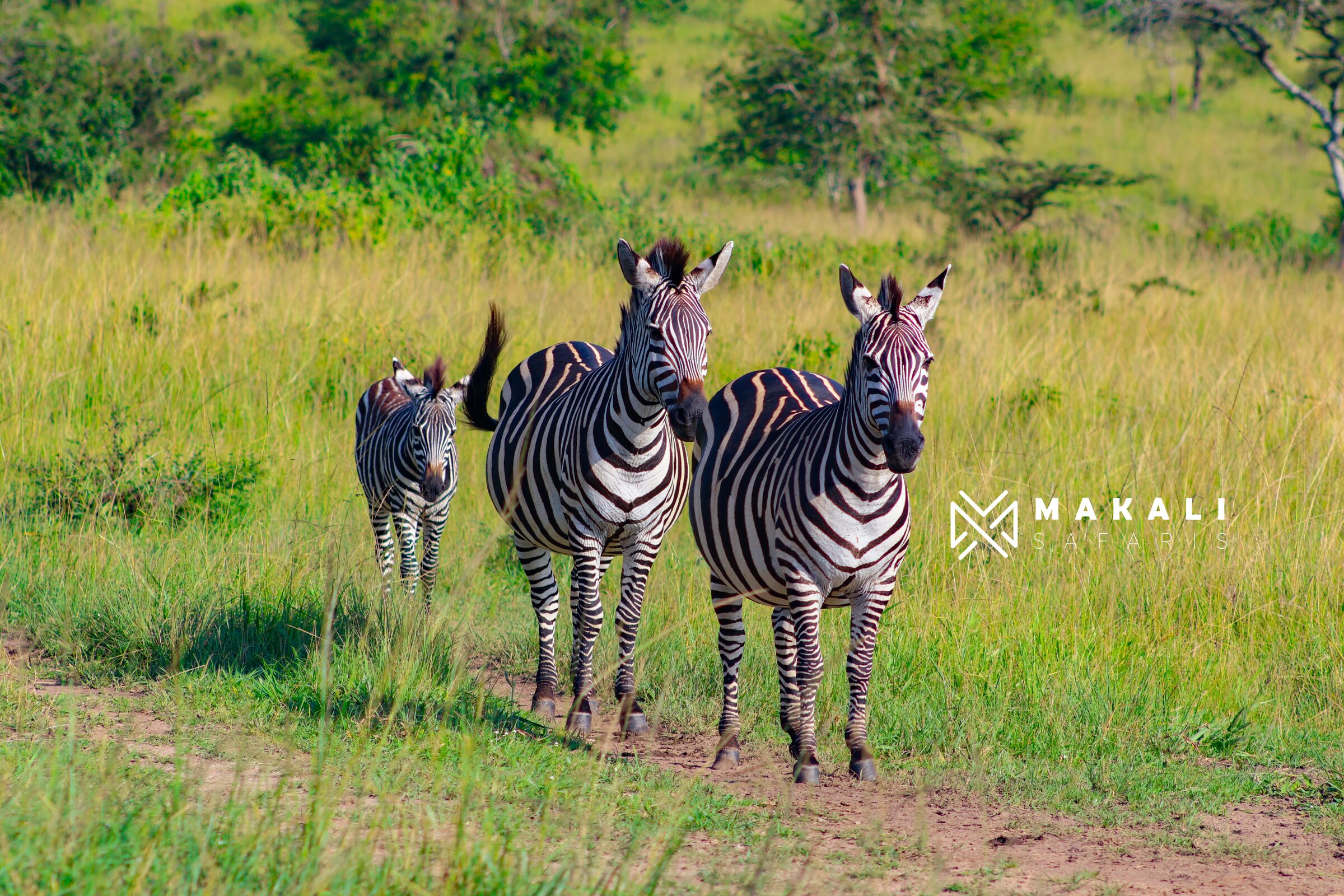 A Haven for Uganda’s Wildlife.